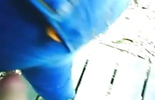 XXX Ava bigo mesum indo Addams 36