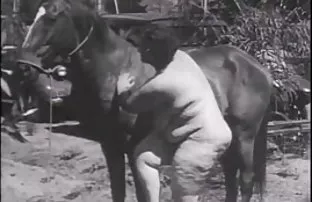 XXX Scoundrel telah memasang indo mesum bokep kamera tersembunyi