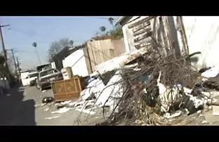 XXX Ariella ferrera mesum sma indo