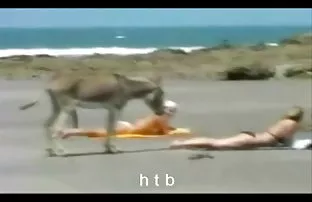 XXX Wanita pembersih Valerie menciptakan indo mesum online kotoran di toilet