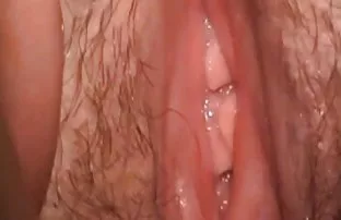 XXX Pussy bokep indo kepergok mesum pada webcam