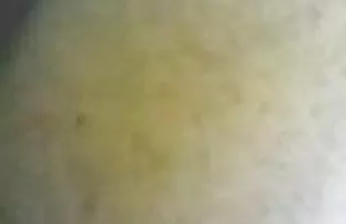 XXX Rocco - indonesia mesum mp4 I Don`t Now (Supremos Porn Edit)